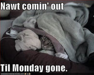 Nawt comin out til monday gone