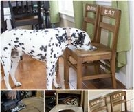 Doggy Bowl Chair