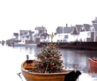 Christmas tree on a boat