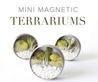DIY Mini Magnent Terrarioum