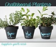 DIY Chalkboard Planters
