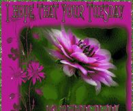 I hope that your Tuesday is Beautiful