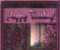 Happy Tuesday