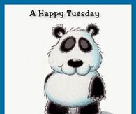 A Happy Tuesday from Me to You