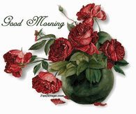 Good Morning