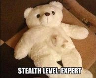 Stealth masters