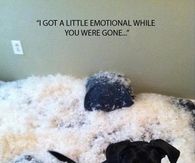 I got emotional