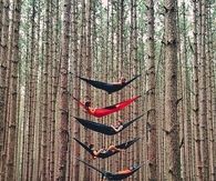 the New Way to Camp