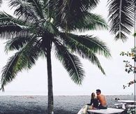 This is Paradise