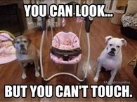 You can Look