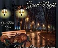 Good Night