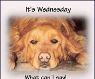 It's Wednesday
