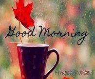Good Morning