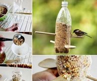 DIY Bird Feeder