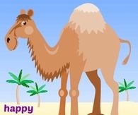 Happy Hump Day