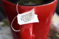 Strength lies in what you can give