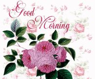 Good Morning