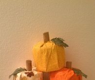 TP Wrap for Thanksgiving Guests