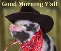 Good Morning Y'all