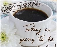 Good Morning Today is Going To Be Great