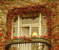 Fall Leaves Surrounding Balcony