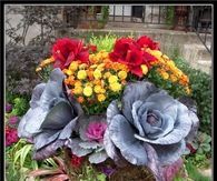 Glorious Fall Planters