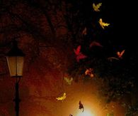 Autumn Silhouettes
