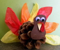 Pine Cone Turkey