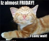 Iz almost friday