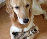 best friends