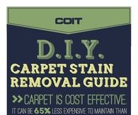DIY Carpet Stain Removal