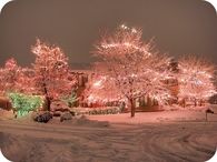 Pastel Christmas Lights