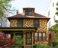 Leopard Print House