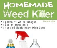 Homemade Weed Killer