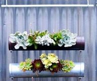 Hanging Garden
