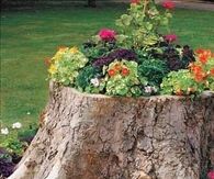Flower Tree Stump