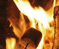 Roasting Marshmallows