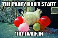 The Party