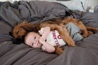 Dog and Baby