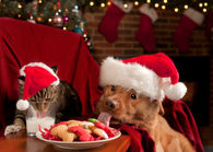 Hey guys thats for Santa