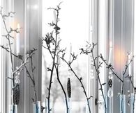 Window Decorations