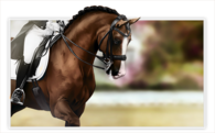 Horse racing
