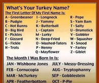 Whats your turkey name