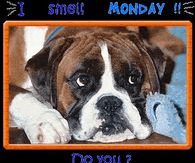 I Smell Monday! - Do You?