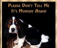 Please don't tell me it's Monday again....