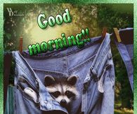Good Morning