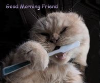 Good Morning Friend