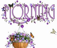 Morning