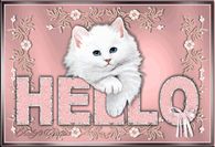 Hello!