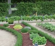 Sunken herb garden